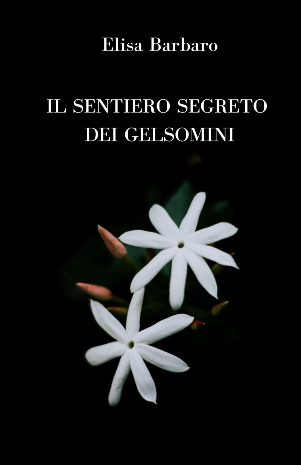 Il sentiero segreto dei gelsomini