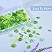 Pandahall 320Pcs Green Acrylic Leaf Beads Charms Transparent Maple Tree Leaves Pendants Cute Green Leaf Beads Caps for Jewelry Making Necklace Earring