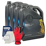 Máxima seguridad lubricante a altas y bajas temperaturas