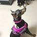 Creation Core Reflective Dog Collar with Ring Breathable Mesh Soft Padded Adjustable Nylon Pet Collar 0.8