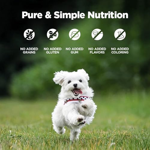 Image of ZEAL New Zealand Canned Wet Dog Food - High Protein, Grain-Free with Superfoods (Chicken & Salmon, 6oz Can, 12-Pack)