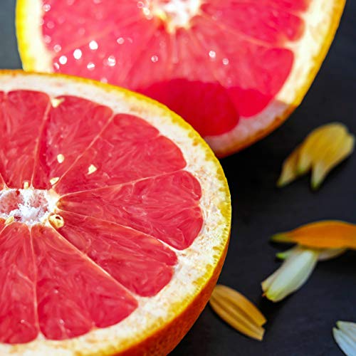 KitchenCraft Professioneel Pompelmoesmes, roestvrij staal, 22,5 cm - Image 7