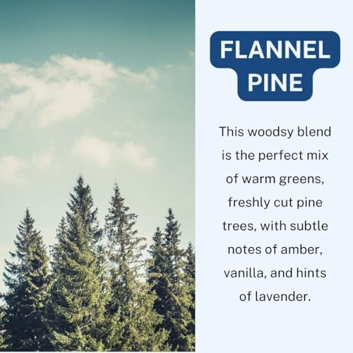 Image of C&E Craft Co Hanging Car Air Freshener Diffuser 2 Pack, Long Lasting Fragrance Oil Car Freshener, Glass Bottle Auto Air Freshener, Made in USA (Flannel Pine)