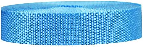 Strapworks Lightweight Polypropylene Webbing - Poly Strapping for Outdoor DIY Gear Repair, Pet Collar, Crafts - 1 Inch x 10 Yards - Powder Blue