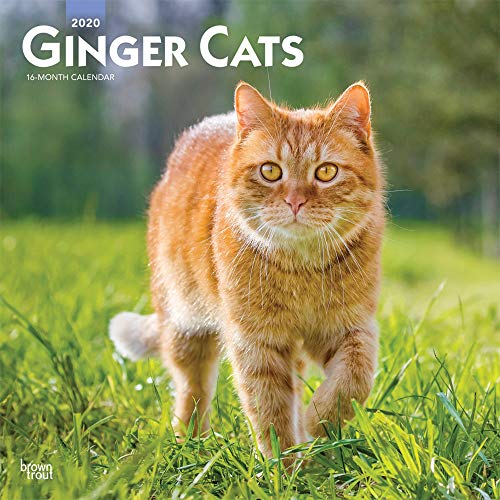 Télécharger Ginger Cats 2020 Calendar PDF Ebook En Ligne