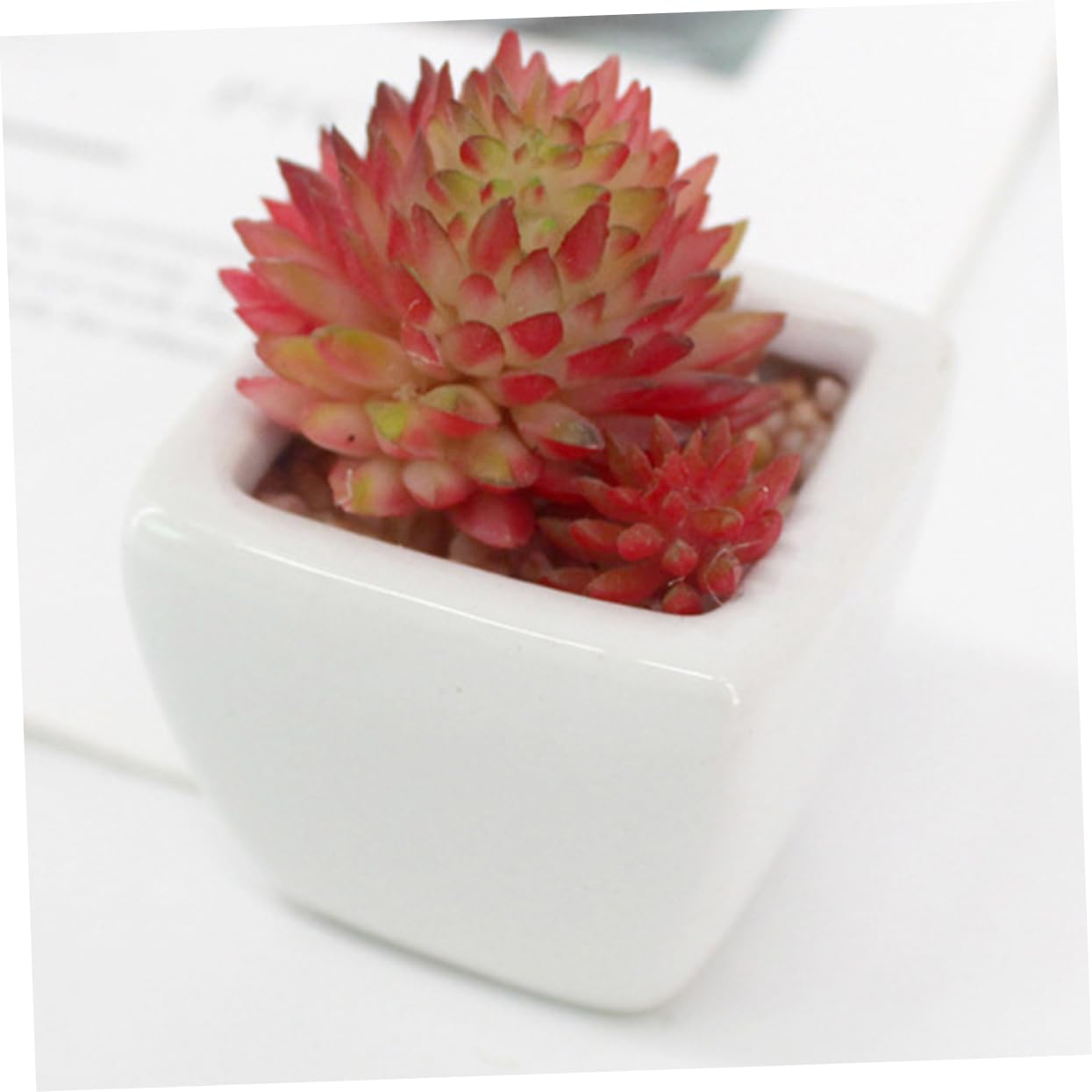 Succulente Artificielle Lot de 6 en Pot Céramique Mini Set de Pièces