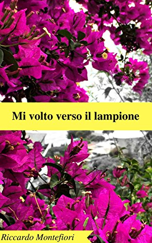 Mi volto verso il lampione