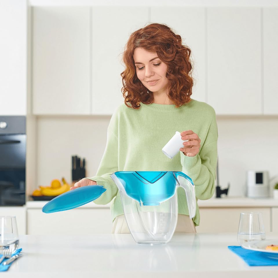 Ecosoft Lot de 12 cartouches pour carafe filtrante - Filtre à eau potable domestique - Recharge sans bouteilles, goût amélioré