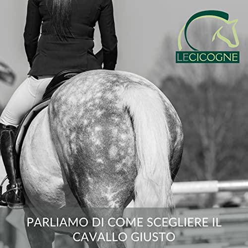 L'importanza di scegliere il cavallo giusto. Ne parliamo con Alain Leusch copertina