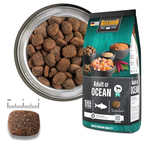 BELCANDO Adult GF Ocean [12,5 kg] getreidefreies Hundefutter | Sortenreines Trockenfutter ohne Getreide mit Fisch | Alleinfutter für ausgewachsene Hunde ab 1 Jahr
