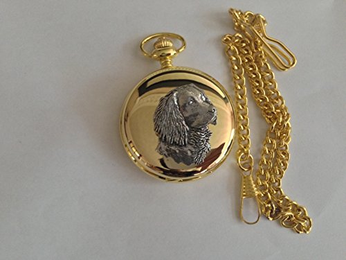 Montre de poche gousset or poli Sheffield avec épagneul de tête gravé art artisanal