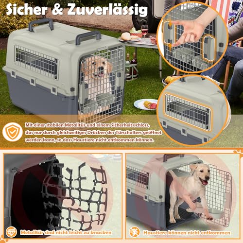 Froadp Transportbox für Haustiere Hund Katze Hundebox aus PP Kunststoff 67x51x58.5cm Katzentransportbox Hundetransportbox mit Rädern & Urinabstandshalter & Hängende Fressnäpfe Katzenbox
