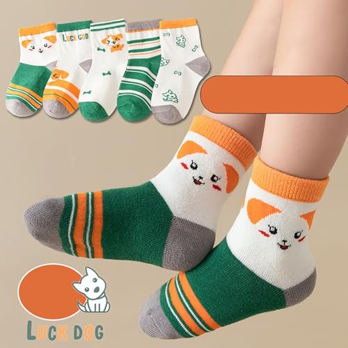 Toddler Baby Sock 5PC Mid Tube Socks Antiskid Floor Socks Spring Summer Boys Girls Unisex Zodiac Cute Fashion Socks4