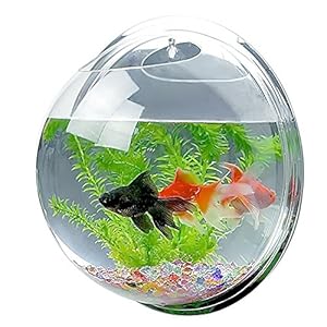 Candora™ Creative Acrylic Hanging Wall Mount Fish Tank Bowl Vase Aquarium Plant Pot Bowl Bubble Aquarium Decor