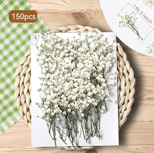 150Pcs Mini Dried Pressed White Baby’s Breath Flowers Bulk - Real Natural Flat Flowers for Epoxy Craft, Scrapbooking, Wedding Invitations, Home Decor, DIY Gifts for Crafters & Event Planners (150) - Thumbnail 6