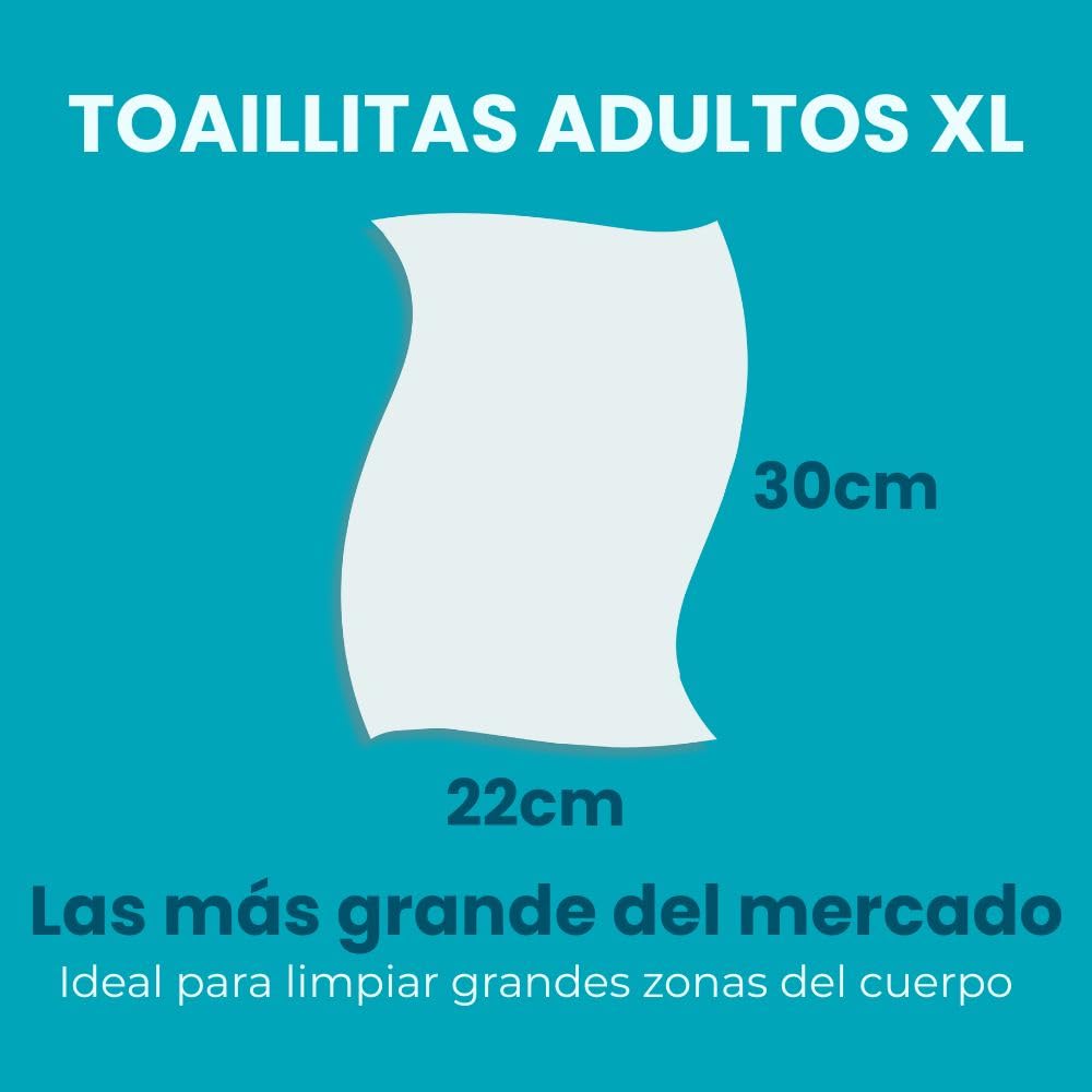 Dailee Toallitas Humedas XL - 288x Toallitas Humedas para la Higiene Limpieza Corporal de Adultos - Adultos, Ancianos, Discapacitados, Enfermos - 288 Toallitas Húmedas, 6 Paquetes