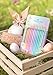 Faber-Castell Colouring Pencils Sparkle Pastel Pack of 12 Metal Case tin of 12