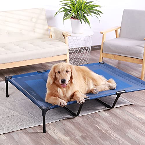 The 14 Best Cot Dog Beds of 2022
