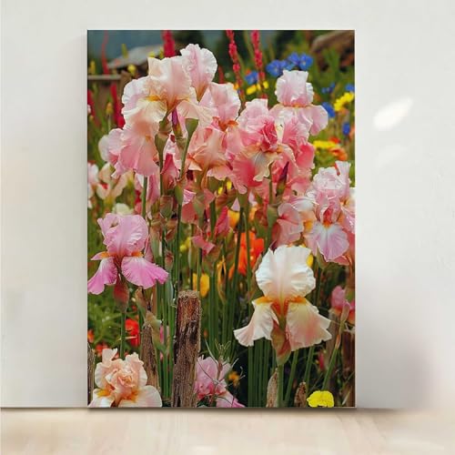 Diamond Painting Flor, Flores Pintura Diamante Kit Manualidades Adultos, 5D Diamond Painting Adultos Dibujos DIY Diamantes para la Decor de la Pared del Hogar, Regalo para Mujer 40x50CM PjY8866 H-Q
