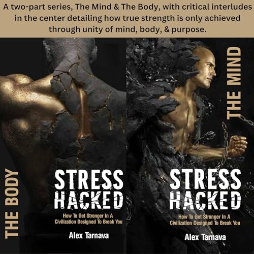 Couverture de StressHacked