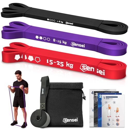 SENSEI® Set De Bandas Elásticas Con Anclaje De Puerta (1–25 kg) – 3 Gomas De Resistencia Para Musculación Y Dominadas – Kit De Bandas Con Guía De Ejercicios