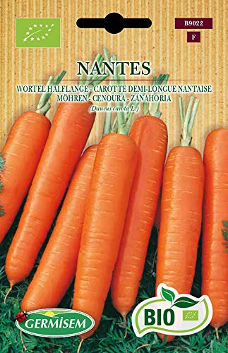 Germisem Bio Graines Carotte demi-longue Nantaise NANTES