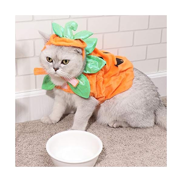 Popetpop cat pumpkin costume-halloween cat costume suits clothes hatdress headbands festival pumpkin costumes for dogs cats - image 4