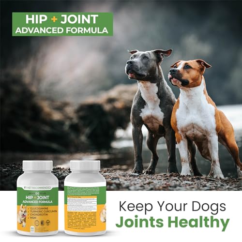 Advanced Hip and Joint Supplement for Dogs Large Breed – Glucosamine for Dogs Mobility & Pain Relief – All Natural Chondroitin, MSM & Turmeric Dog Joint Supplement – 90 Dog Calming Chews Tablets Advanced Hip and Joint Supplement for Dogs Large Breed – Glucosamine for Dogs Mobility & Pain Relief – All Natural Chondroitin, MSM & Turmeric Dog Joint Supplement – 90 Dog Calming Chews Tablets
