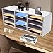 12 Compartments Literature Organizer, Countertop Mail Sorter Organizer, Office Classroom Mailbox, Bill Paper Organizer Cabinet for Home, Library, Craft Room (White)