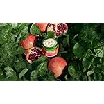 Weleda Replenishing Body Butter, 5.0 Fluid Ounces, Antioxidant Rich Formula with Pomegranate and plant extracts - Image 5