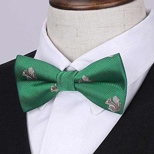Image of HISDERN Bow Ties for Boys Pre Tied Toddler Bow Tie Adjustable Kids Bowties Clip On Fun Patterned Bowties for Wedding Party
