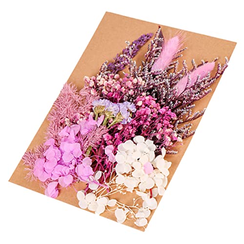 Kit de flores secas para manualidades y decoración miniatura 1