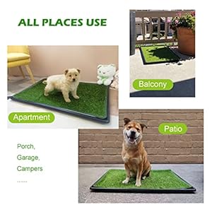 Dog Artificial Grass Pad with Tray for Puppy Potty Training Fake Turf Patch  Washable Pee Pad Pet Loo for Small and Medium Dogs Indoor or Outdoor Use potty System 354 X 236  Cucciolini Doodles Dog artificial grass pad with tray for puppy potty training fake turf patch  washable pee pad pet loo for small and medium dogs indoor or outdoor use potty system 35 4 x 23 6   cucciolini doodles