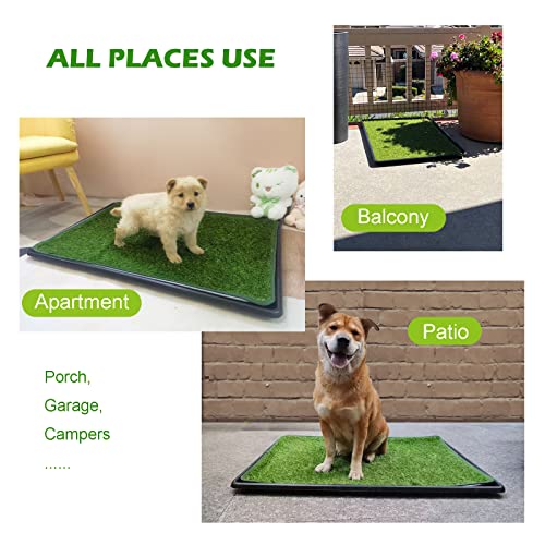 Dog Artificial Grass Pad with Tray for Puppy Potty Training Fake Turf Patch  Washable Pee Pad Pet Loo for Small and Medium Dogs Indoor or Outdoor Use potty System 354 X 236  Cucciolini Doodles Dog artificial grass pad with tray for puppy potty training fake turf patch  washable pee pad pet loo for small and medium dogs indoor or outdoor use potty system 35 4 x 23 6   cucciolini doodles