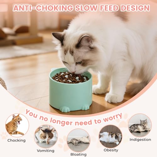 FunnAura 3 Pcs Slow Feeder Cat Bowl, Raised Cat Slow Feeder Bowl with Anti-skid Mat for Neck Support - Image 5