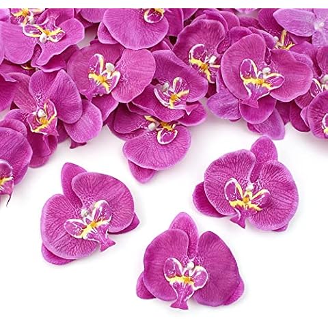 HOKPA 50Pcs Orchid Petals Artificial Orchid Flower Heads Faux Silk Phalaenopsis Butterfly Flower Heads for DIY Craft Home Wedding Party Decorations (50pcs Purple)… Cover