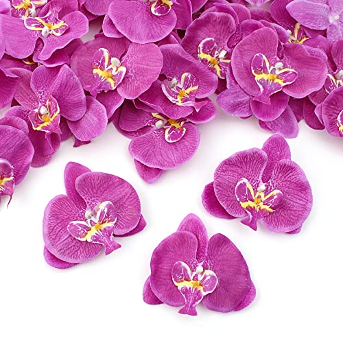 HOKPA 50Pcs Orchid Petals Artificial Orchid Flower Heads Faux Silk Phalaenopsis Butterfly Flower Heads for DIY Craft Home Wedding Party Decorations (50pcs Purple)…
