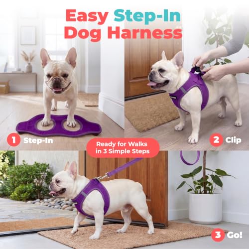 Image of Voyager Step-in Air Dog Vest Harness - Purple, X-Large