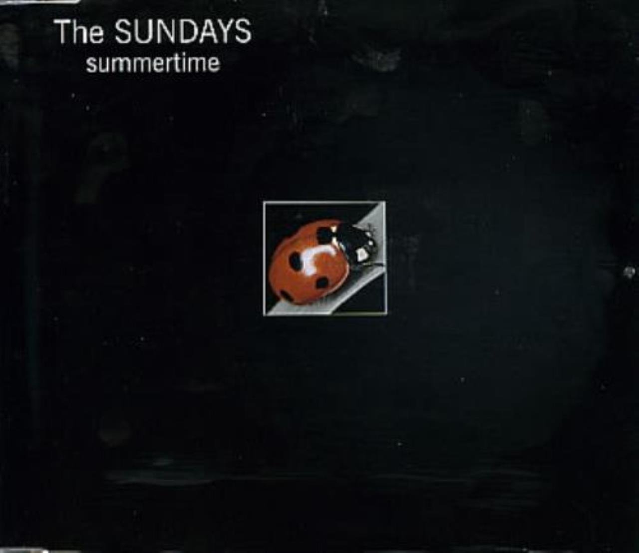 Amazon.com: Summertime