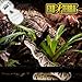 Exo Terra Repti Glo 5.0 Tropical Terrarium Lamp, Compact Fluorescent Reptile Bulb, 13 Watts, PT2186A1, whites & tans