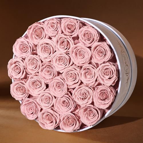 27 Flowers in a Luxury Suede Box, Birthday Gifts for Women, Preserved Flowers, Mothers Day Roses Gift for Mom, Dusty Rose