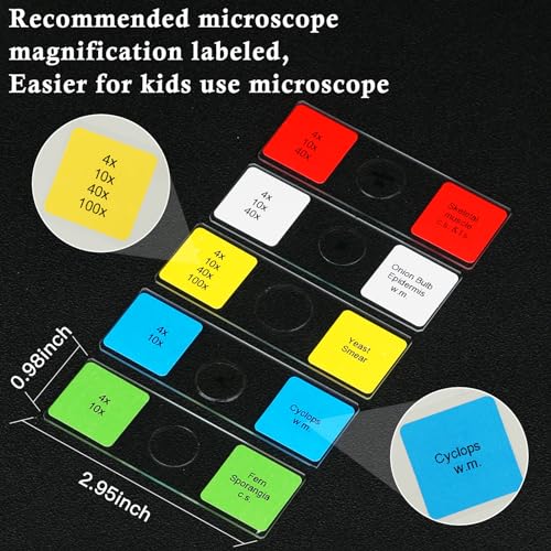 Diy-Science PS-30/60/120 Microscope Slides For Kids Ages 8+ thumb #1
