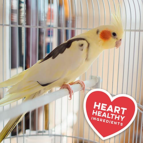 The Missing Link Avian Color & Shine Superfood Supplement Powder for Captive Birds - Flaxseed, Yucca, Kelp… - Image 5