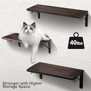 Rustic Wood Floating Shelves, Hanging Shelf for Wall Decor, Storage Books Rack for Living Room, Bathroom, Kitchen and Bedroom (Black,Set of 3) Rustic Wood Floating Shelves Hanging Shelf for Wall Decor Storage Books Rack for Living Room Bathroom Kitchen and Bedroom BlackSet of 3