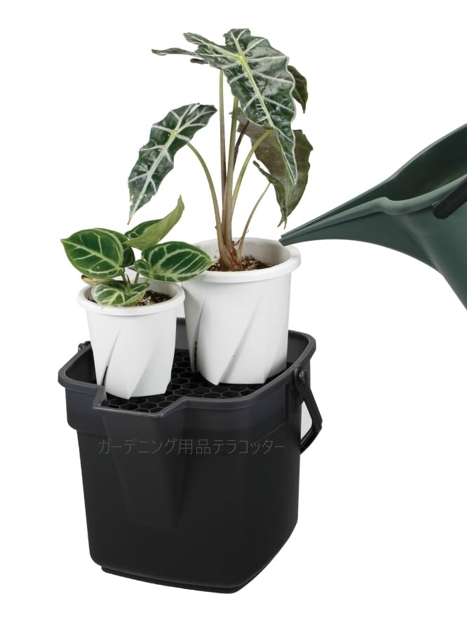 Amazon.co.jp: ドレイニングトレイ＆バケツセット 100size 水やり革命
