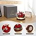 Eyesofspring Preserved Flowers,Rose in Glass Dome with LED Light, Gifts for Her, Women, Mom,Grandma,Girlfriend, Wife-Style7
