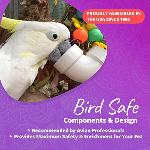 Fltaheroo Bird Forager Bird Toy with Colorful Birds & Flowers,Bird Cage Toys Supplies,Parrot Toys Stands for Conures - Afbeelding 6