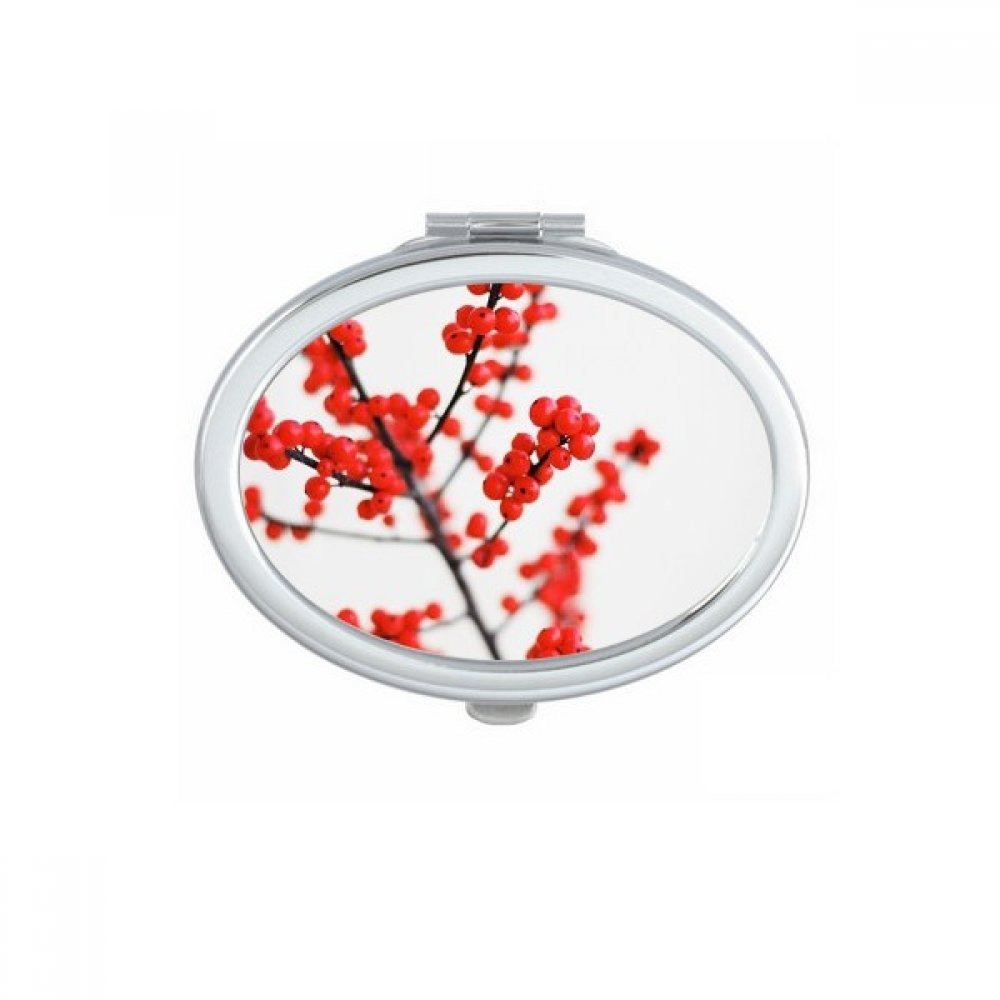 Miroir de poche à la main motif pastèque un cadeau mignon unique