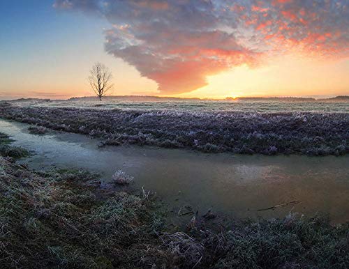 Amazon.co.jp: Industar 50-2 RUSSIAN LENS FOR FujiFilm FX RARE SET  