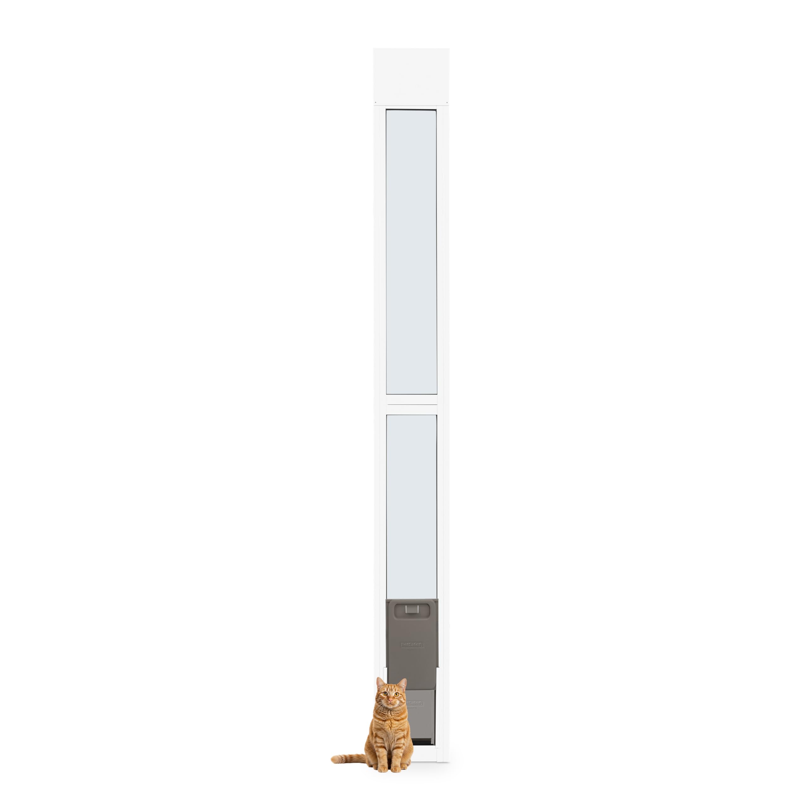 PetSafe 2-Piece Sliding Glass Pet Door - No-Cut DIY Install Doggy Door for Renters - Aluminum Frame - Adjustable Height 75 7/8" to 81" - Ideal for Small Dogs Up to 15 lbs